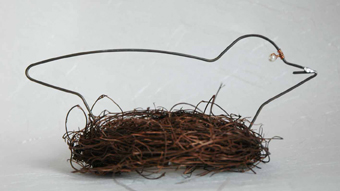 Vogel im Nest